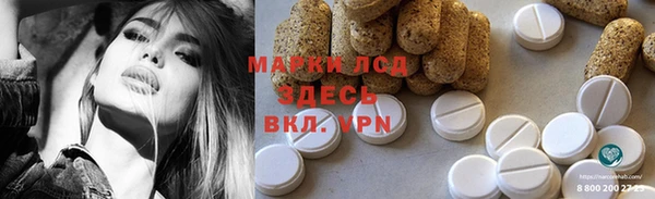 прущие грибы Белоозёрский