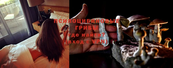круглые Белокуриха