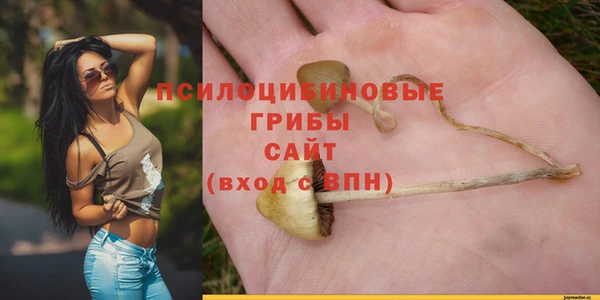 прущие грибы Белоозёрский