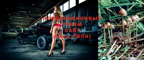 прущие грибы Белоозёрский