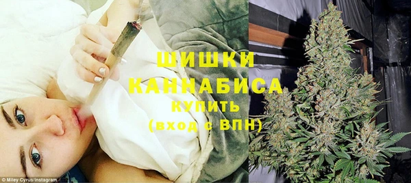 прущие грибы Белоозёрский