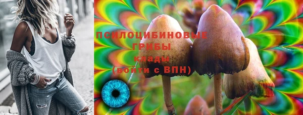 круглые Белокуриха