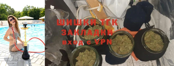 прущие грибы Белоозёрский