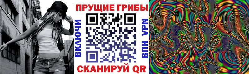 где найти   Вельск  Галлюциногенные грибы прущие грибы 